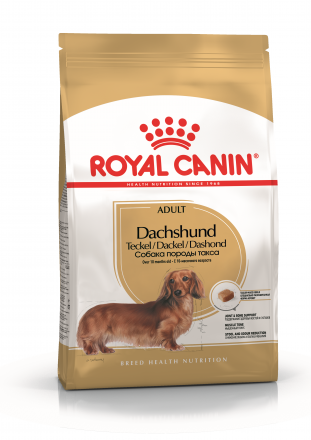 Royal Canin Dachshund Adult сухой корм для взрослых собак породы такса - 7.5кг