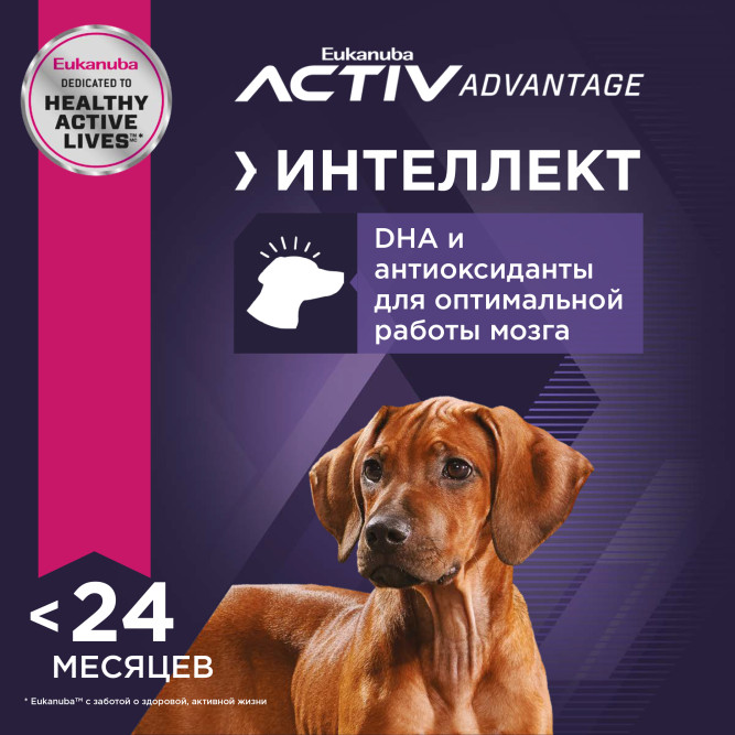 Сухой корм Eukanuba Puppy Large Breed для щенков крупных пород с курицей - 15 кг