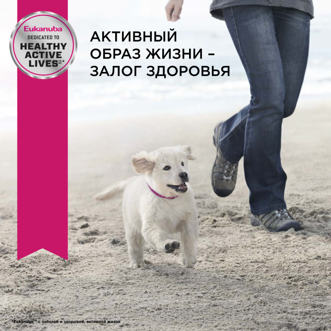 Сухой корм Eukanuba Puppy Large Breed для щенков крупных пород с курицей - 15 кг