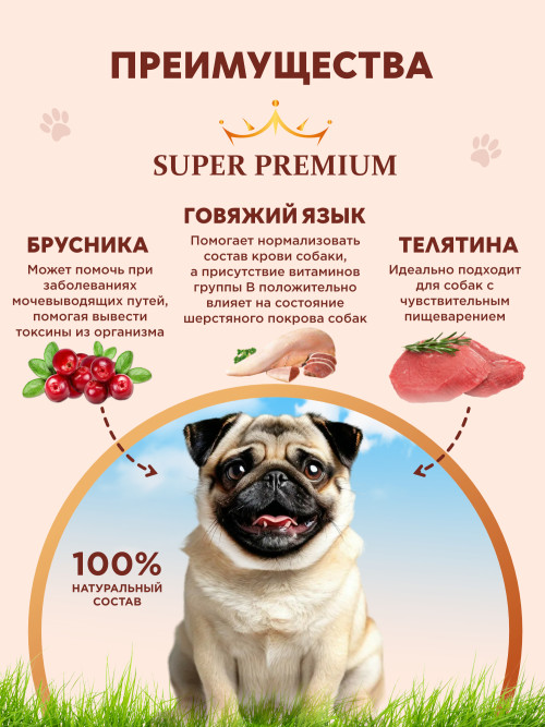 Chester Premium влажный корм для взрослых собак мелких пород, нежная телятина с языком и брусникой, в консервах - 240 г х 12 шт