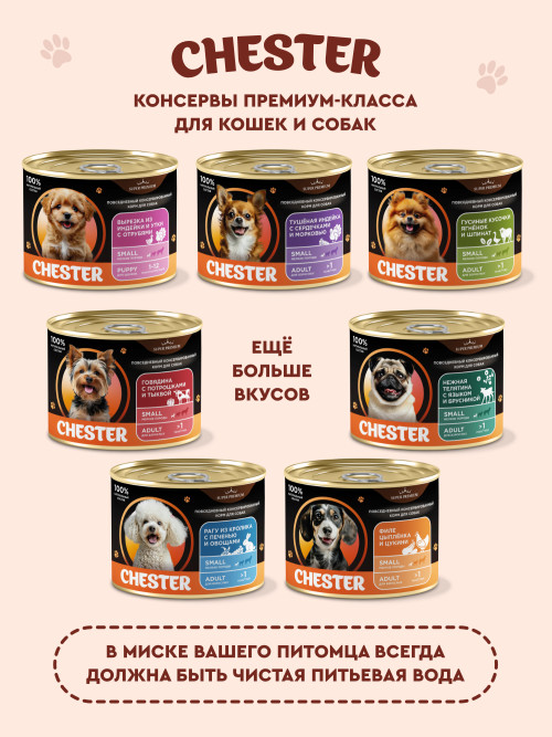Chester Premium влажный корм для взрослых собак мелких пород, нежная телятина с языком и брусникой, в консервах - 240 г х 12 шт