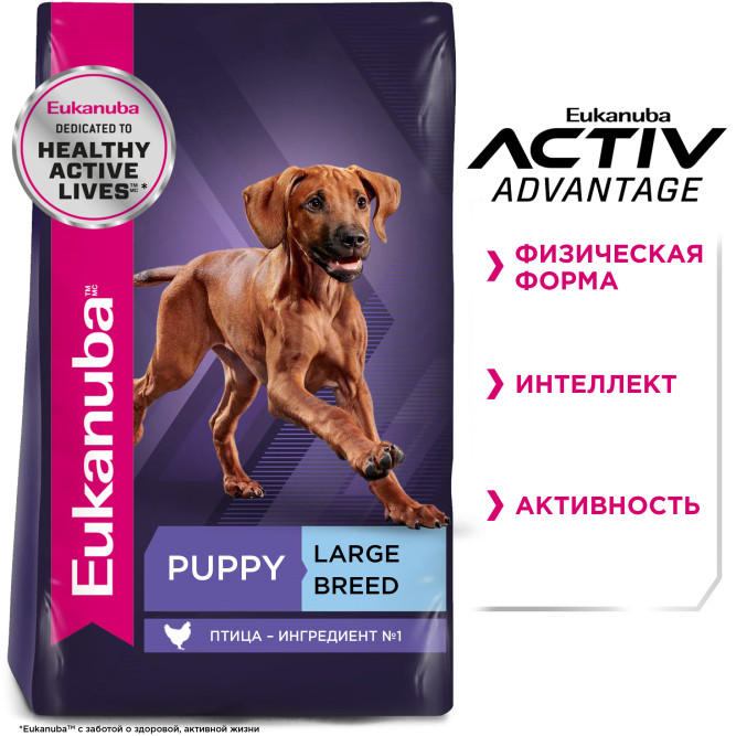 Сухой корм Eukanuba Puppy Large Breed для щенков крупных пород с курицей - 3 кг