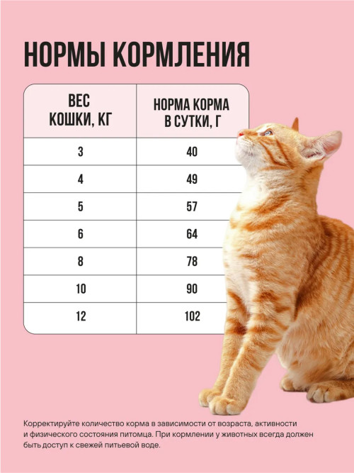 BOWL WOW сухой корм для взрослых кошек с индейкой, курицей и яблоком - 1,5 кг