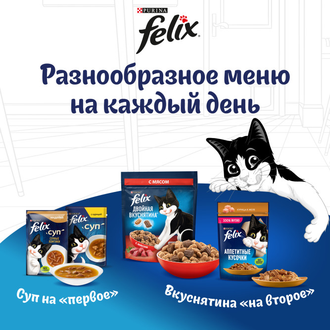 Сухой корм Felix Двойная вкуснятина для котят с курицей - 600 г