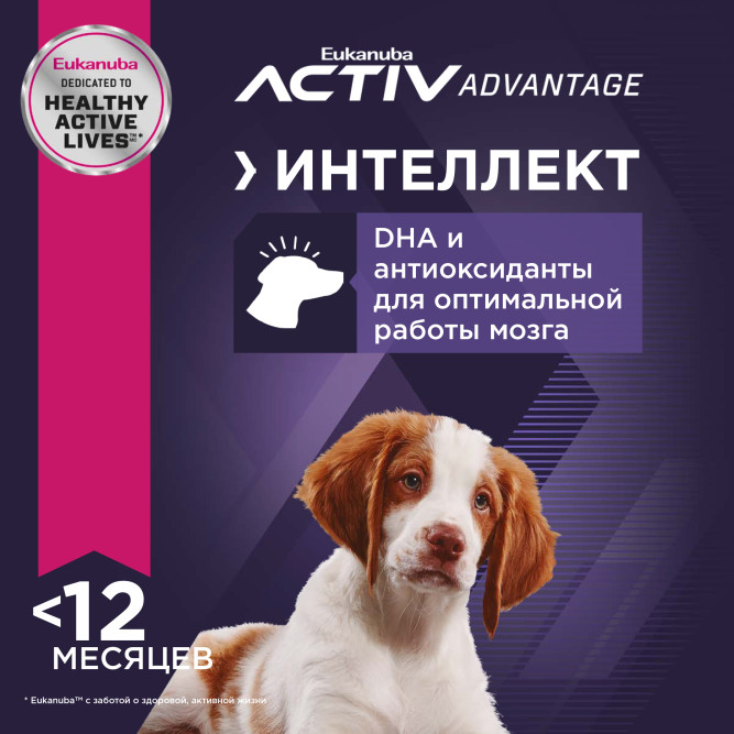 Сухой корм Eukanuba Puppy Medium Breed для щенков средних пород с курицей - 15 кг
