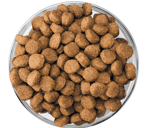 Сухой корм Eukanuba Puppy Medium Breed для щенков средних пород с курицей - 15 кг