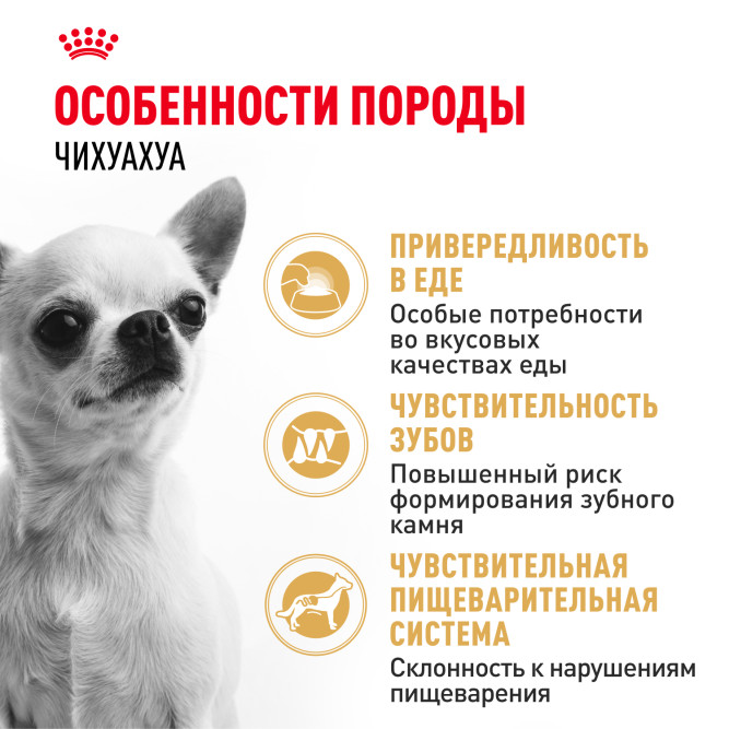 Royal Canin Chihuahua Adult сухой корм для собак породы чихуахуа в возрасте 8 месяцев - 1,5 кг