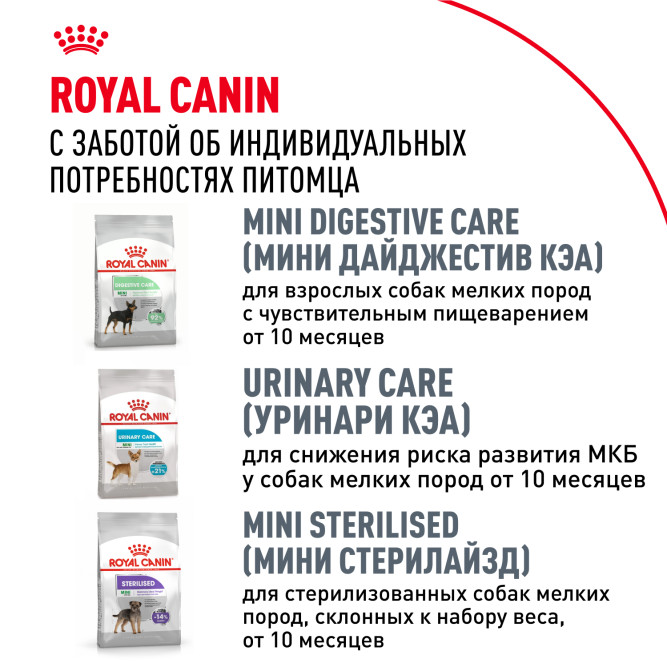 Royal Canin Chihuahua Adult сухой корм для собак породы чихуахуа в возрасте 8 месяцев - 1,5 кг
