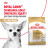 Royal Canin Chihuahua Adult сухой корм для собак породы чихуахуа в возрасте 8 месяцев - 1,5 кг
