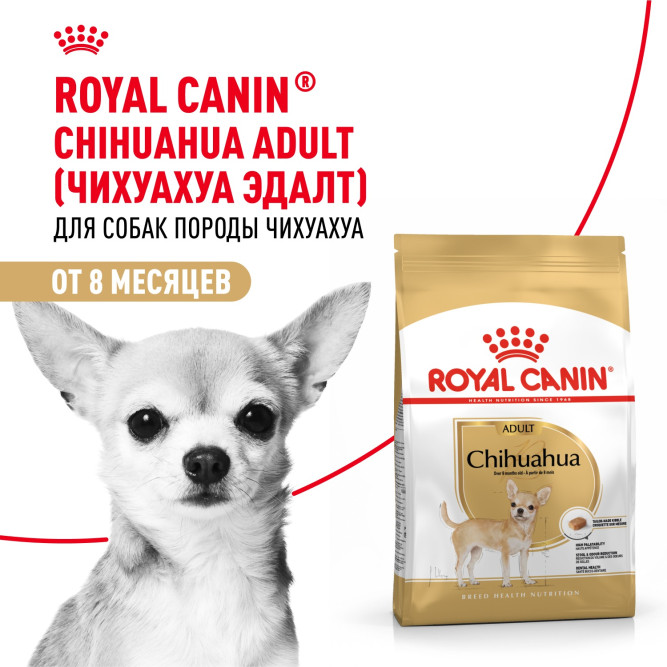 Royal Canin Chihuahua Adult сухой корм для собак породы чихуахуа в возрасте 8 месяцев - 1,5 кг