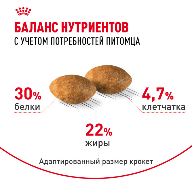 Royal Canin Persian 30 для Персидских кошек старше 12 месяцев - 4 кг