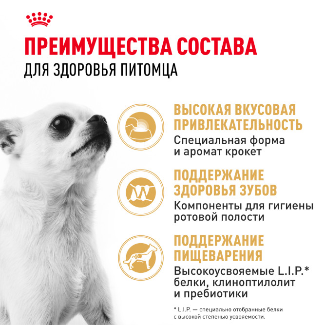 Royal Canin Chihuahua Adult сухой корм для взрослых собак породы чихуахуа - 3 кг