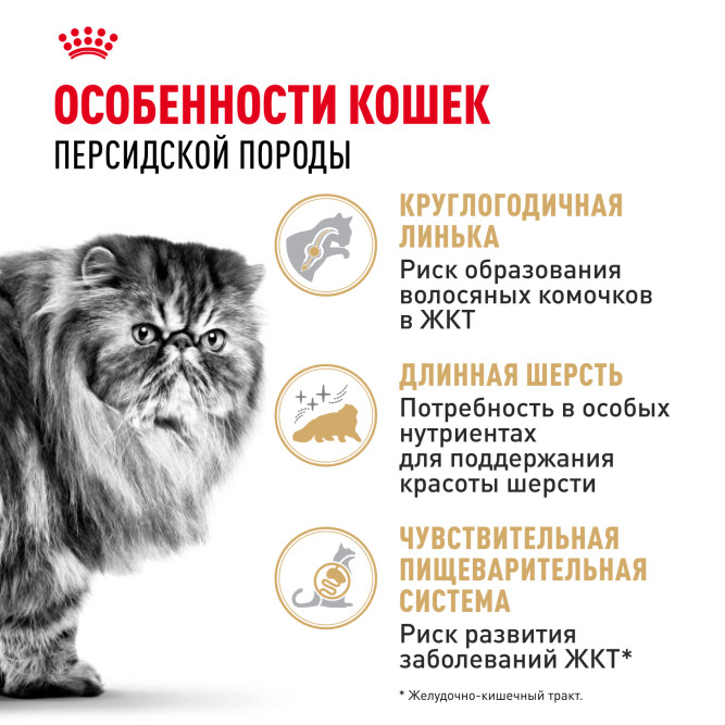 Royal Canin Persian сухой корм для взрослых кошек персидской породы - 400 г