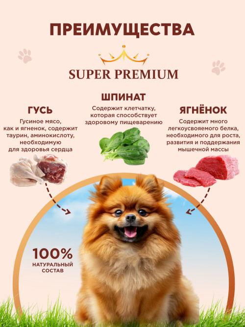 Chester Premium влажный корм для взрослых собак мелких пород, гусиные кусочки, ягненок и шпинат, в консервах - 240 г х 12 шт