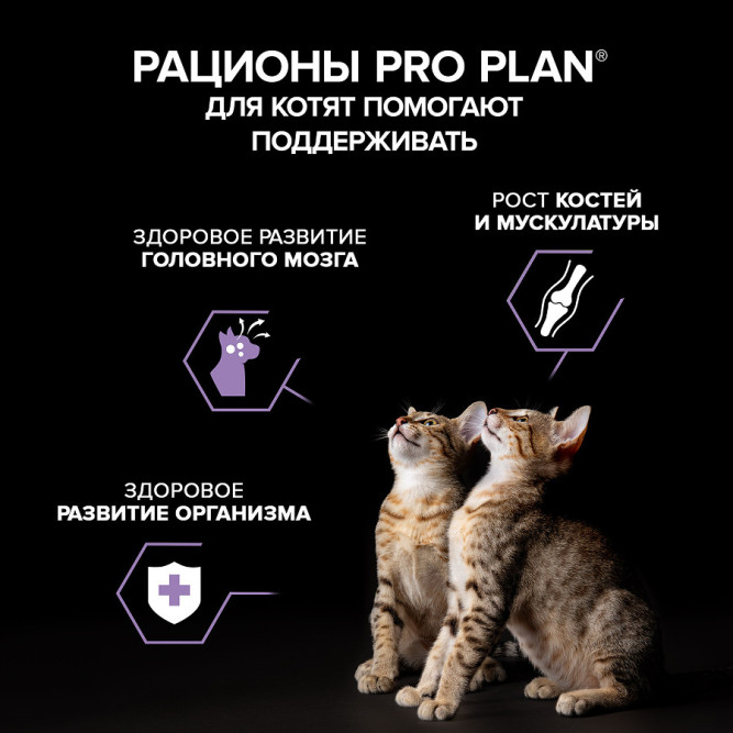 Purina Pro Plan Healthy Start влажный корм для котят, беременных и кормящих кошек, паштет с индейкой, в паучах - 75 г x 26 шт