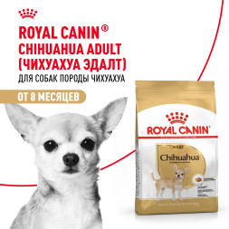 Royal Canin Adult сухой корм для взрослых собак породы чихуахуа - 500 г