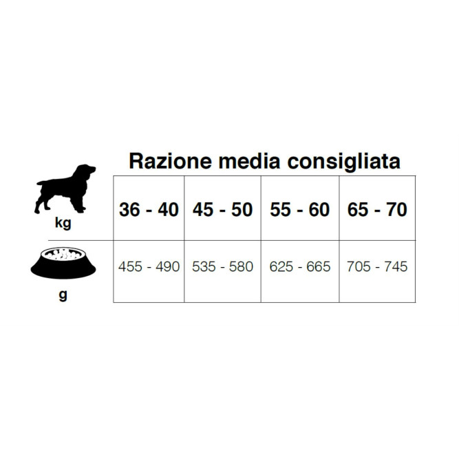 Forza10 MonoDiet Adult Maxi Pesce сухой корм для взрослых собак крупных пород c рыбой - 12 кг