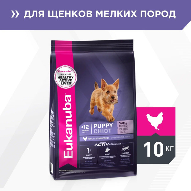 Сухой корм Eukanuba Puppy Small Breed для щенков мелких пород с курицей - 10 кг