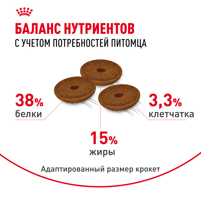 Royal Canin FCN Digestive Care сухой корм для взрослых кошек старше 1 года с чувствительным пищеварением - 400 г