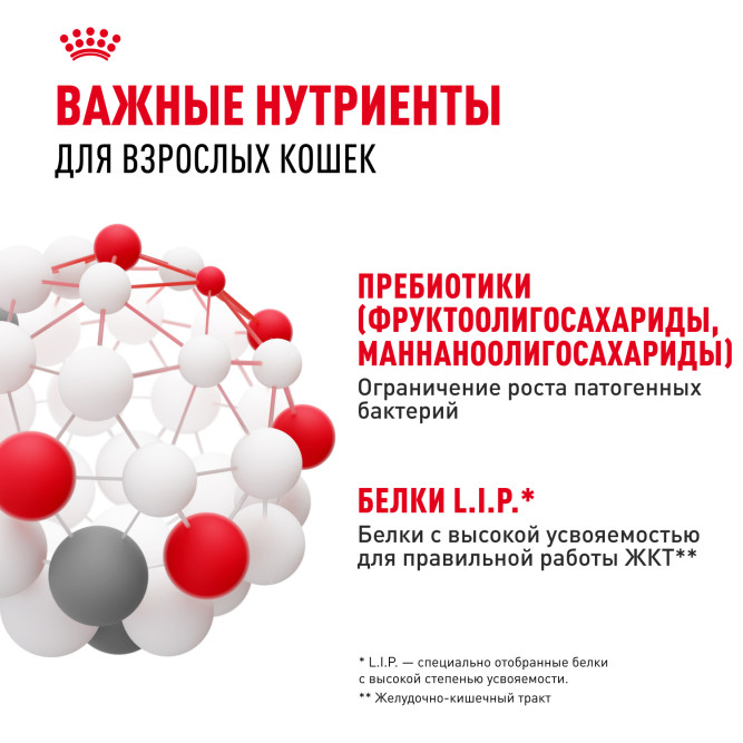 Royal Canin FCN Digestive Care сухой корм для взрослых кошек старше 1 года с чувствительным пищеварением - 400 г