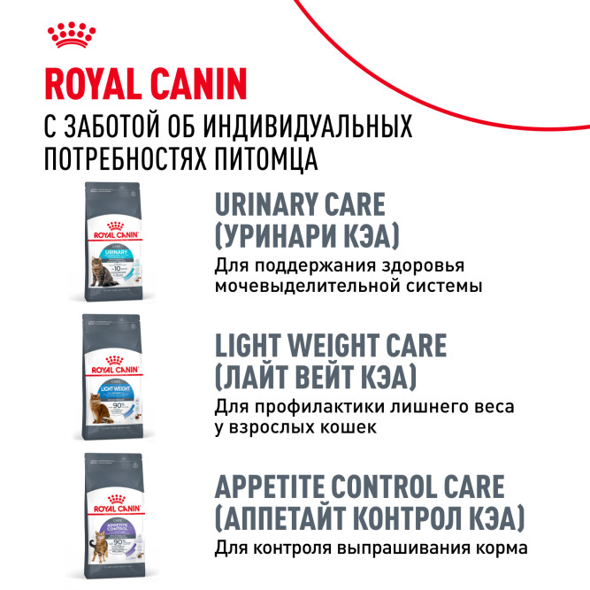 Royal Canin FCN Digestive Care сухой корм для взрослых кошек старше 1 года с чувствительным пищеварением - 400 г