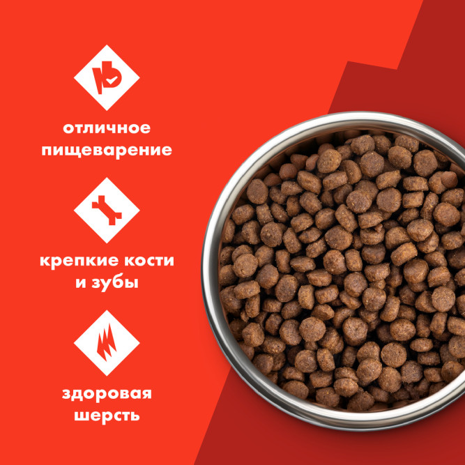 Ultra полнорационный сухой корм для взроcлых собак всех пород, с говядиной - 600 г