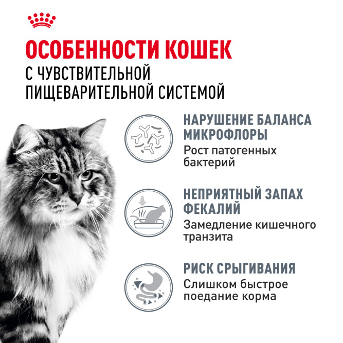 Royal Canin FCN Digestive Care сухой корм для взрослых кошек старше 1 года с чувствительным пищеварением - 2 кг