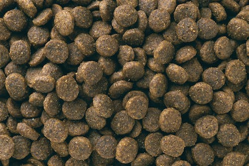 Сухой корм Eukanuba Puppy Small Breed для щенков мелких пород с курицей - 800 г