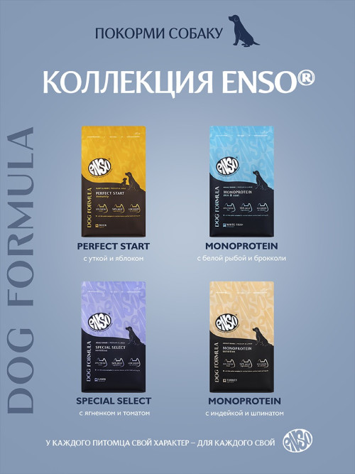 ENSO Dog Formula Monoprotein сухой корм для взрослых собак средних и крупных пород со свежей белой рыбой и добавлением брокколи - 10 кг