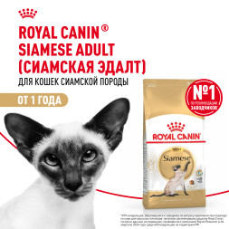 Royal Canin Siamese сухой корм для взрослых сиамских кошек -2 кг