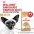 Royal Canin Siamese сухой корм для взрослых сиамских кошек -2 кг