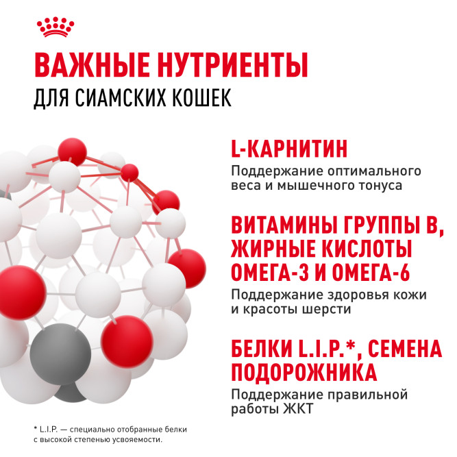 Royal Canin Siamese сухой корм для взрослых сиамских кошек -2 кг