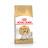 Royal Canin Siamese сухой корм для взрослых сиамских кошек -2 кг
