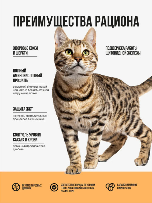 BOWL WOW сухой корм для взрослых кошек с чувствительным пищеварением с индейкой, курицей и тыквой - 1,5 кг