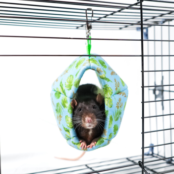 Bambini Pets гамак подвесной из фетра Мяч Регби, для грызунов и хорьков, 18х13х13 см