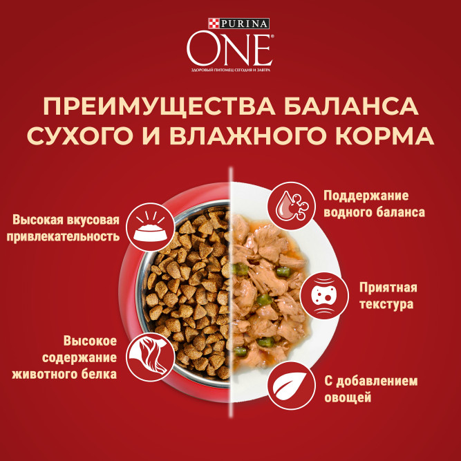 Purina One Мини сухой корм для активных взрослых собак мелких пород, с высоким содержанием курицы и рисом - 3 кг