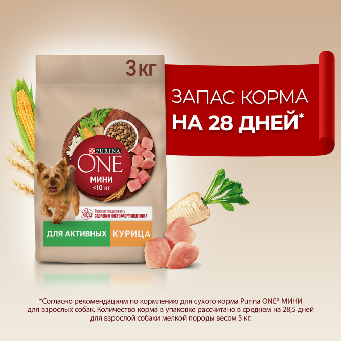 Purina One Мини сухой корм для активных взрослых собак мелких пород, с высоким содержанием курицы и рисом - 3 кг