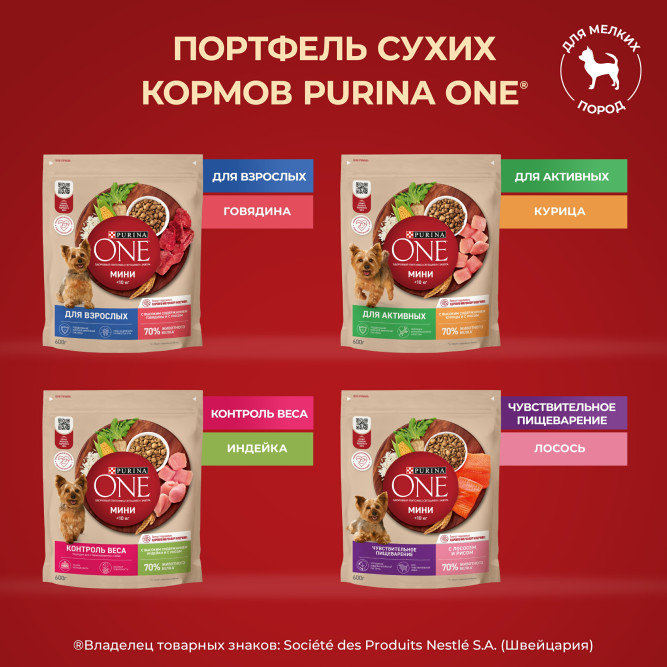 Purina One Мини сухой корм для активных взрослых собак мелких пород, с высоким содержанием курицы и рисом - 3 кг