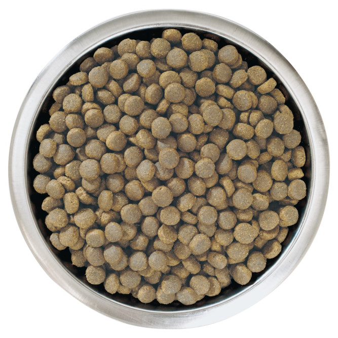 Pro Plan Puppy Large Athletic сухой корм для щенков крупных пород с атлетическим телосложением с курицей и рисом - 3 кг