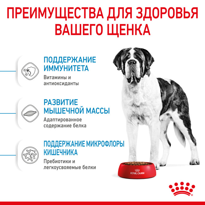 Royal Canin Giant Junior сухой корм для молодых собак гигантских пород с курицей - 15 кг