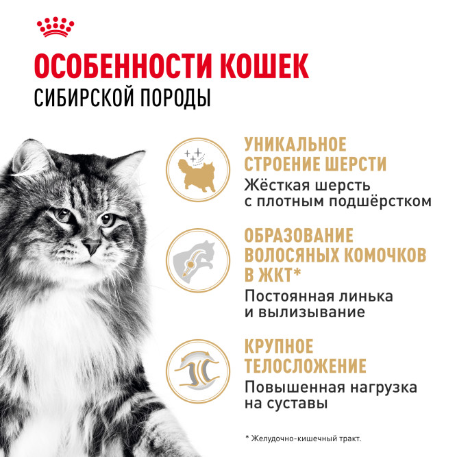 Royal Canin Siberian Adult сухой корм для взрослых кошек сибирской породы - 2 кг