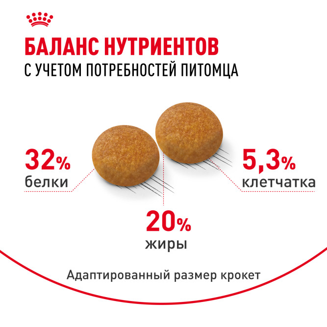 Royal Canin Siberian Adult сухой корм для взрослых кошек сибирской породы - 2 кг