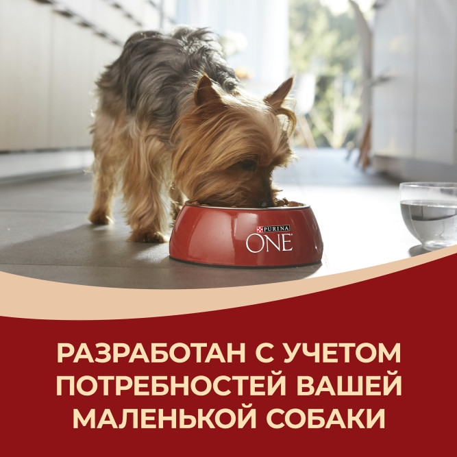 Purina One Мини сухой корм для взрослых собак мелких пород, с высоким содержанием говядины и рисом - 3 кг
