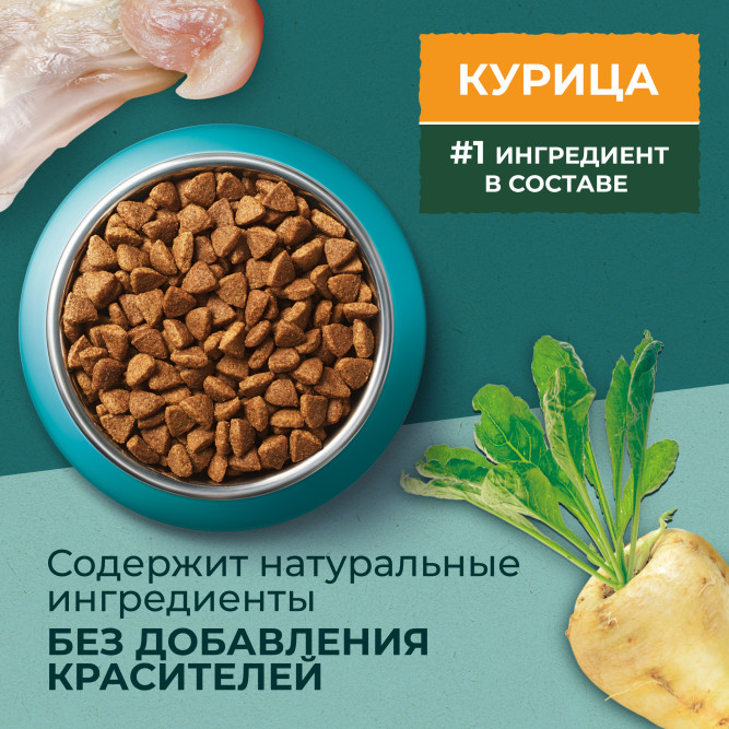Purina One Природа Здоровья сухой корм для взрослых кошек с курицей - 680 г