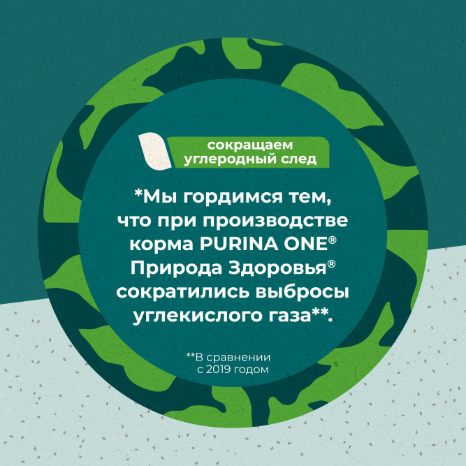 Purina One Природа Здоровья сухой корм для взрослых кошек с курицей - 680 г