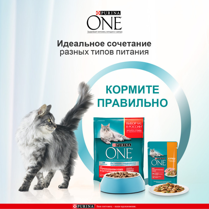 Purina ONE паучи для стерилизованных кошек с говядиной и морковью  - 75 г х 26 шт