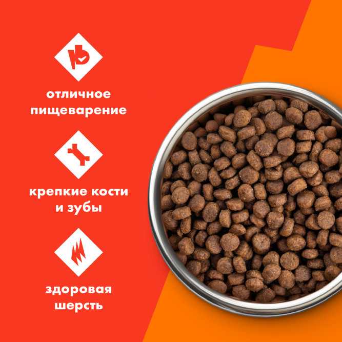 Ultra полнорационный сухой корм для взроcлых собак всех пород, 3 вида мяса - 12 кг