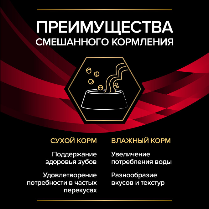 Purina Pro Plan Veterinary Diets DM St/Ox Diabetes Management влажный корм для взрослых кошек при диабете с говядиной в соусе, в паучах - 85 г х 10 шт