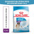 Royal Canin Giant Junior сухой корм для молодых собак гигантских пород с курицей - 3,5 кг