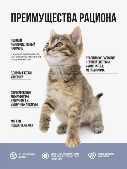 BOWL WOW сухой корм для котят с индейкой, курицей и черникой - 1,5 кг